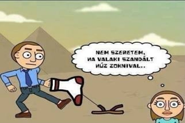 11695864_888473287907196_4566640890851702890_n.jpg.600x0_q85