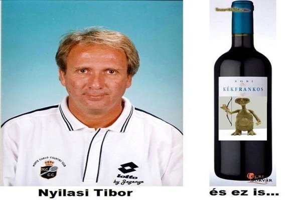 11742900_888472931240565_1003265675028952275_n.jpg.600x0_q85