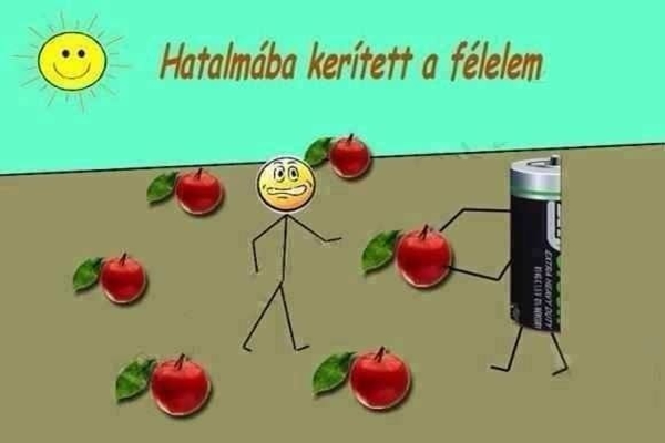 1544298_592848034136391_810688254_n.jpg.600x0_q85