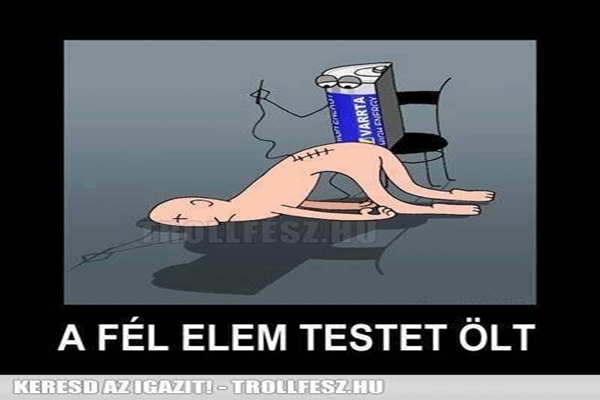 1609585_593226080765253_1865598160_n.jpg.600x0_q85