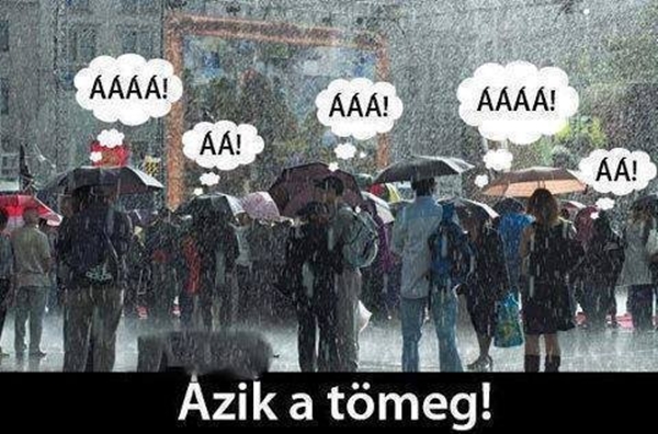 1653795_593226207431907_1250027588_n.jpg.600x0_q85