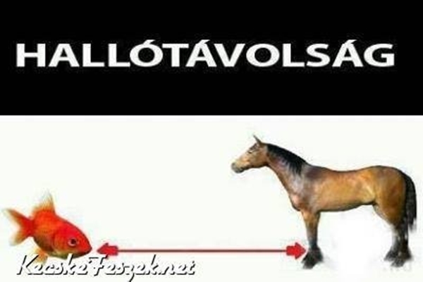 1800381_592848180803043_570931773_n.jpg.600x0_q85