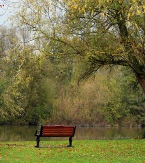 Park-Bench-Meditation-Melanie-Gow-www.myofficetoday.co_.uk_-900x506