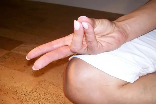 mudra2