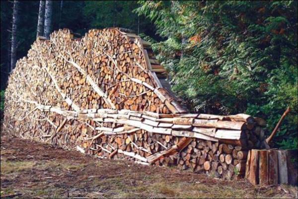 firewood_stack_1