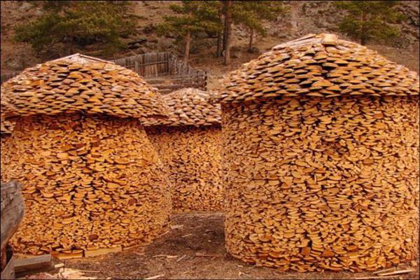 firewood_stack_10