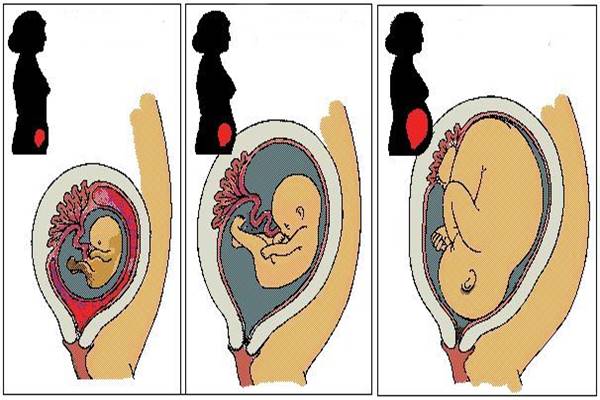 gyakori vizelés terhesség jele
