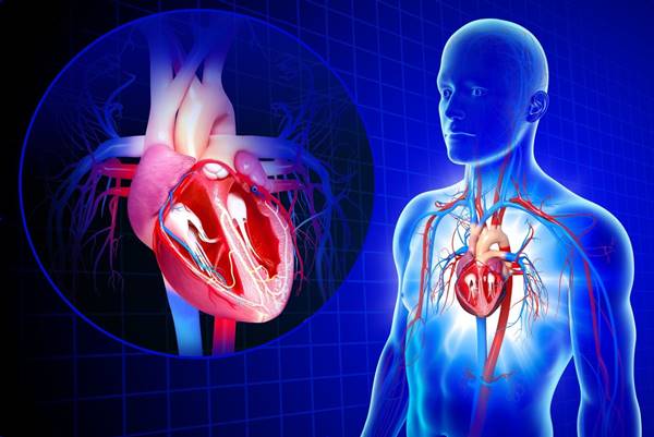 A cukorbetegség szív- és érrendszeri szövődményei