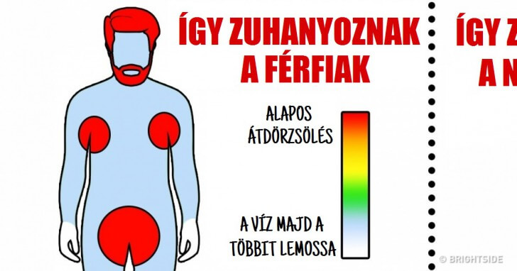 a nők és férfiak különbségei