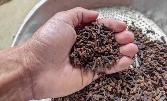 dry cloves in hand
